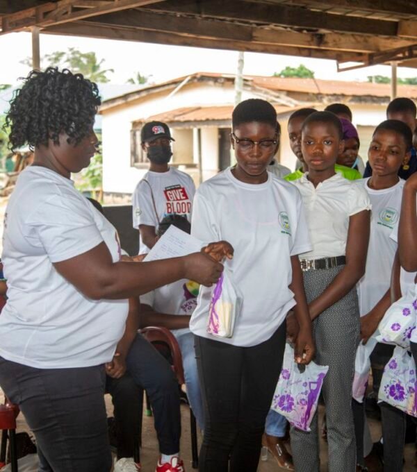 Skilled Girl to Woman Foundation 